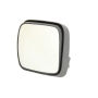 Coppa specchio retrovisore completa dx sx termico per Man TGA 81637306511